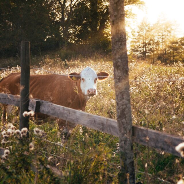 christian-widell-vrT3Z9UKFEg-unsplash-scaled