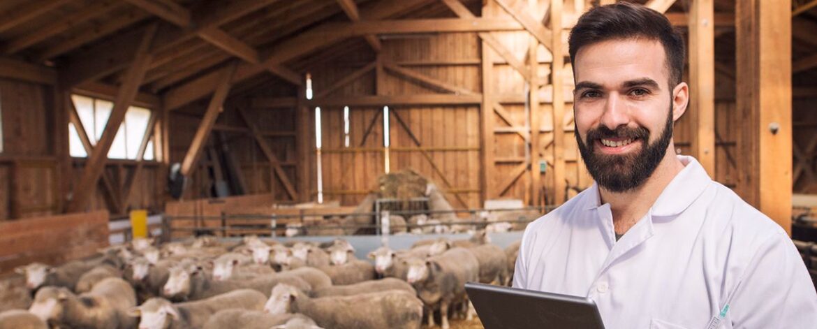 portrait-veterinarian-dressed-white-coat-with-rubber-gloves-standing-sheep-domestic-farm-edited-scaled-1 portrait-veterinarian-dressed-white-coat-with-rubber-gloves-standing-sheep-domestic-farm-edited-scaled-1