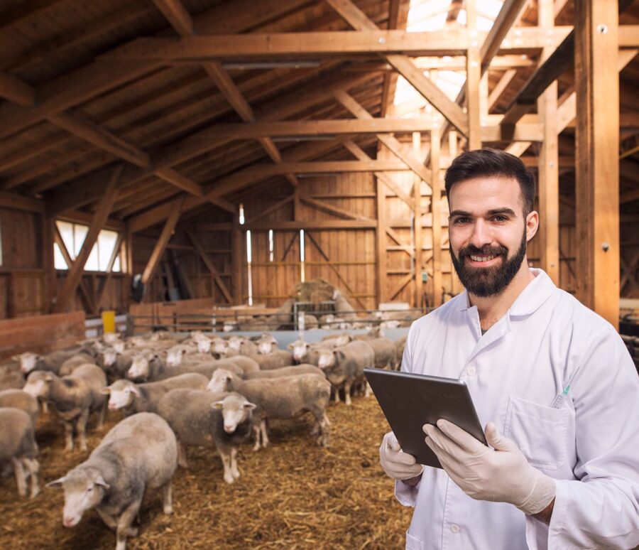portrait-veterinarian-dressed-white-coat-with-rubber-gloves-standing-sheep-domestic-farm-edited-scaled-1 portrait-veterinarian-dressed-white-coat-with-rubber-gloves-standing-sheep-domestic-farm-edited-scaled-1